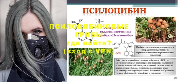винт Костерёво